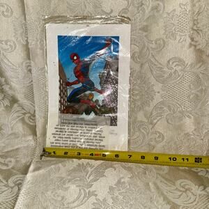 2002 Spider Man Sealed Lithograph Marvel Movie Promo Romita Art Print Y2K
